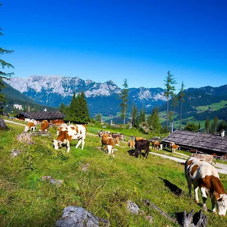 Holzenlehen *