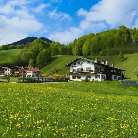 Holzenlehen *
