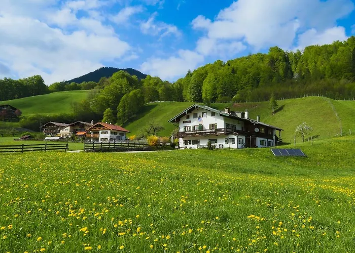 Holzenlehen *