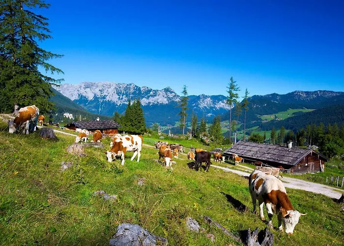 Holzenlehen *